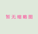 主席团成员